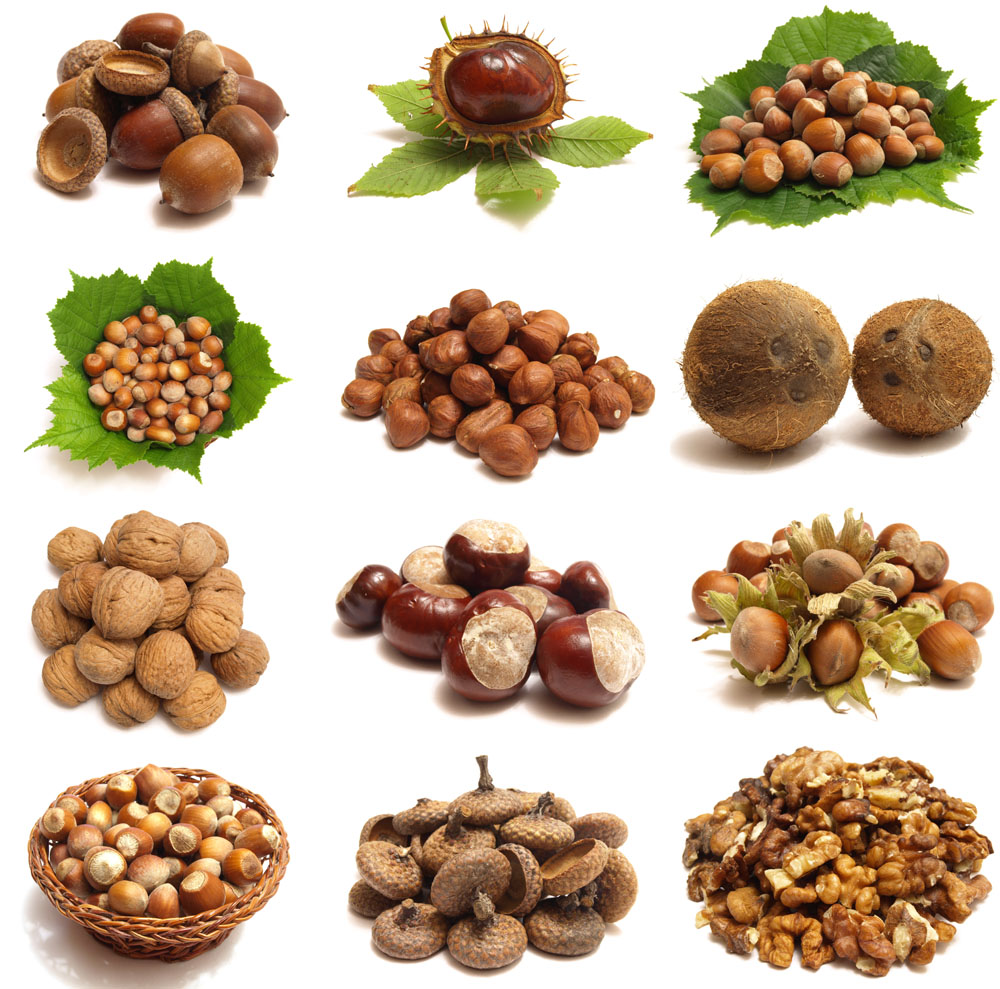 食品干貨香港進口